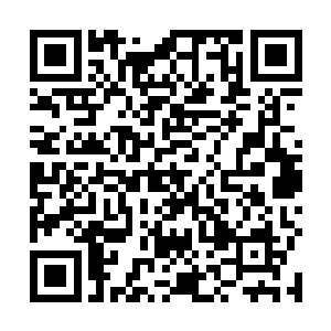 只是看到车头两束亮眼的车灯把眼前的山林照得特别亮二维码生成
