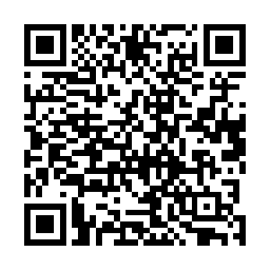 只是看看基本素质就拉来训练然后就送到特殊的战场上去二维码生成