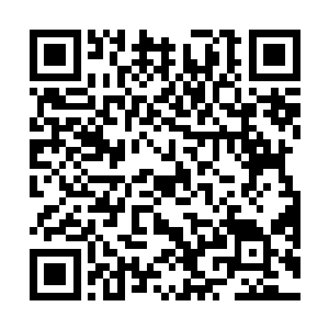 只是看着七渡河对面隐约的檀州治所城墙上的小小人影二维码生成