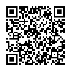 只是看着珍宁公主半垂的容颜上半边狰狞的伤痕二维码生成