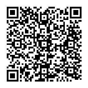 只是看着眼前这仿佛楚楚可怜的叶莹就仿佛时时刻刻都在提醒他他曾经失去了什么二维码生成