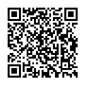 只是看着那轮回古咒之中一点点淡去的刺荒族长二维码生成