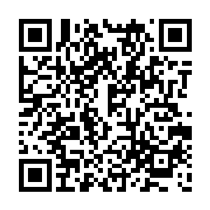 只是瞪大了眼睛有些好奇的打量着眼前的大哥哥二维码生成