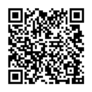 只是瞬间便将所有的生命之光圈进了河伯仙府之内二维码生成
