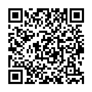 只是瞬间落阳的气息就从地尊初期飙升到了地尊后期巅峰二维码生成