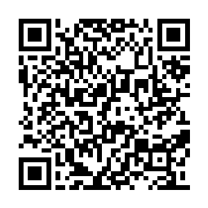 只是笑呵呵的安排人将其送到某些休息室里而已二维码生成