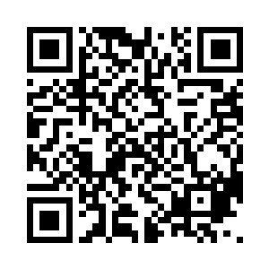 只是精致的五官透着一股不掩饰的傲气二维码生成