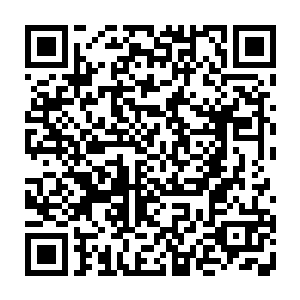 只是紧张兮兮的从火盆里把那些烧到一半的荷包绣帕首饰小盒子给翻了出来二维码生成