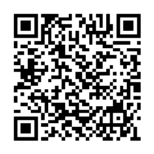 只是给了他一记寒光便让他安静地将嘴巴闭上了二维码生成