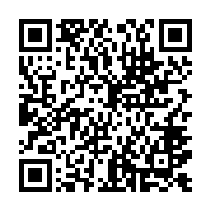 只是能在猜拳前的一瞬看到对方脑中闪现的念头而已二维码生成