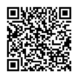 只是花无俊偶尔因为工作的原因会逢场作戏一下二维码生成