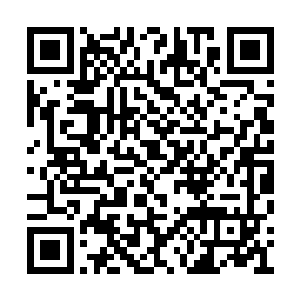 只是花费了二十多个时辰江逸就抵达了毒魔死地二维码生成