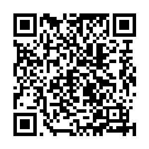 只是花钱享受无法无天胡作非为想怎么样就怎么样才叫享福二维码生成
