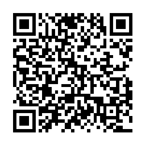 只是行为隐秘坐在对面的徐清尘和徐清炎都没有发现罢了二维码生成