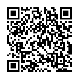 只是被刚刚那一幕的刺激这些人的动作都有些变形二维码生成