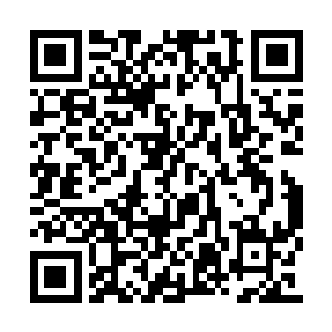 只是要打败乔远帆的强烈愿望一直都在支持着他二维码生成