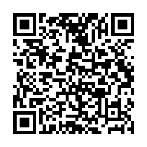 只是见到沈凡有一个无极境初期巅峰的红袖伺候再旁二维码生成