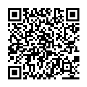 只是觉得心里很感动很满足――这个可爱的小女孩儿二维码生成