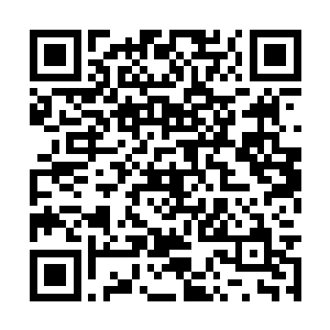 只是认为这一次回去少不了又要和赵丽华他们吵架二维码生成