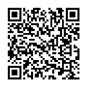 只是让他知道怎样下刀怎样分解…那血淋林的场面二维码生成