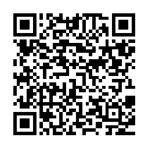 只是让天一老人更加吃惊的就是这个白芷璃居然长得如此貌美二维码生成