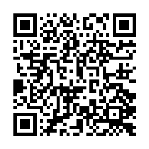 只是让她把书记办公会上的的事告诉丁长生就可以了二维码生成