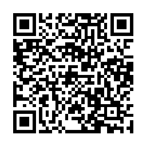 只是许紫烟如今已经将十一种天道融合到了大圆满二维码生成