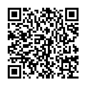 只是谁也不知道刚才这颗搅局的闪光手雷是守卫们投掷的二维码生成