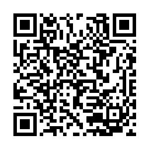 只是赚大钱继续发展新技术的机会是一去不复返了二维码生成