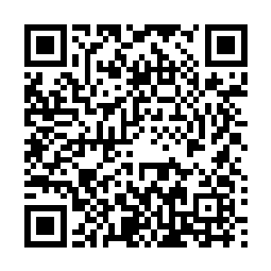 只是赵老太太同李太太的亲娘张老太太在闺中时就关系平平二维码生成