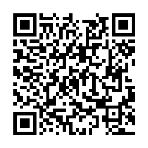 只是距离铁龙宗的这艘飞舟两百多公里的距离之内二维码生成