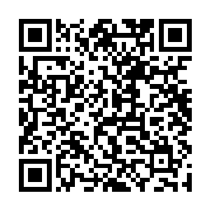 只是跨坐在黑色骏马的谭总头脸色好似乌云压顶一般二维码生成