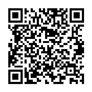 只是身体损失的元气却不是段时间内可以恢复过来二维码生成