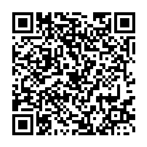 只是还不清楚当时杨眉和卢向东为什么愿意把藏宝图交出来的真实想法二维码生成