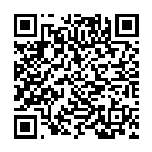 只是还是有些非常接近五十岁的修士还想着蒙混过关二维码生成