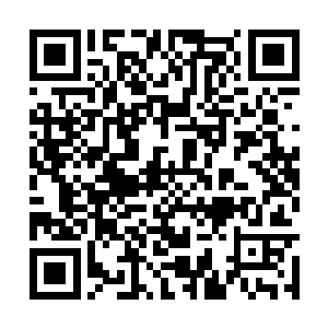 只是还没有触及到白瞳儿的身子再次被弹飞了出去二维码生成