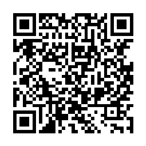 只是还真的如大司命说的那样……有点不够尽兴呐二维码生成