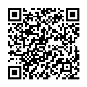 只是这一次天空中已幻化出一只巨大的猛虎影象二维码生成