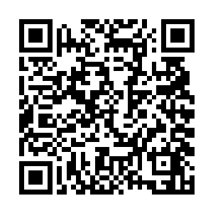 只是这三个仙宝因为上次的使用已经宝光暗淡了许多二维码生成