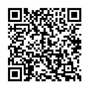 只是这三生石会非常偶尔的给杨风提供一些画面二维码生成