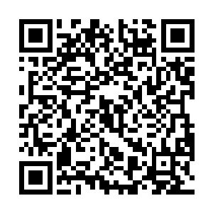 只是这个大厅里是由一堆泛着五彩石地板的地板铺成的二维码生成