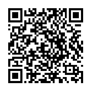 只是这个时候飞星完全没有一丁点重获自由的喜悦二维码生成