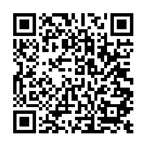 只是这个规划是在陆为民的观点上逐渐丰富和完善起来的二维码生成