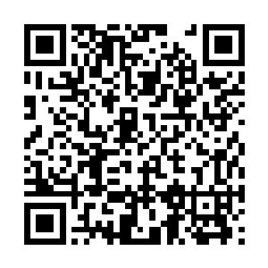 只是这个问题在这场案子中有多大的因果关系而已二维码生成