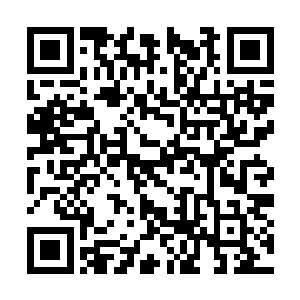 只是这事我建议还是先听听无量道圣主苗毅的意思二维码生成