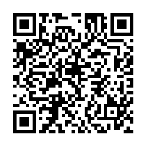 只是这二人也许是久在梅九龄的压制下已经失去锐气和魄力二维码生成