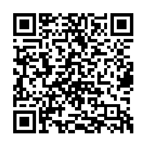 只是这些三角马从来就没有这样长途跋涉的经历二维码生成