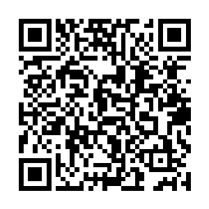 只是这件事情的发生却让无尽之城所有的大组织明白二维码生成