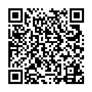 只是这会他又要分心对付后面追上来的彩虹别动队二维码生成