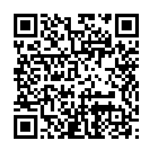 只是这位呆呆的少女此刻面上是满脸的杀意和愤怒二维码生成